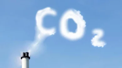1000 545 1635182736 1278