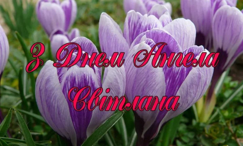 1200 0 1551115662 2074