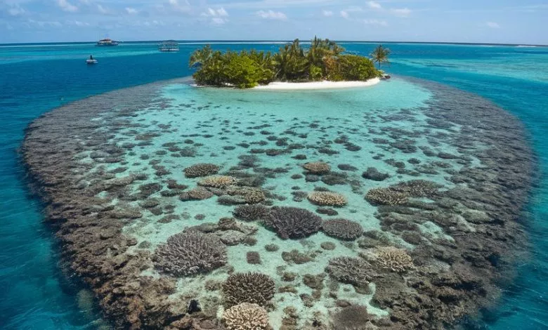A Photo Of A Coral Island Formation In T V Mzhwuwqbi6zs6oao7hsw Xdhn5go7qxighclbfbwfmw