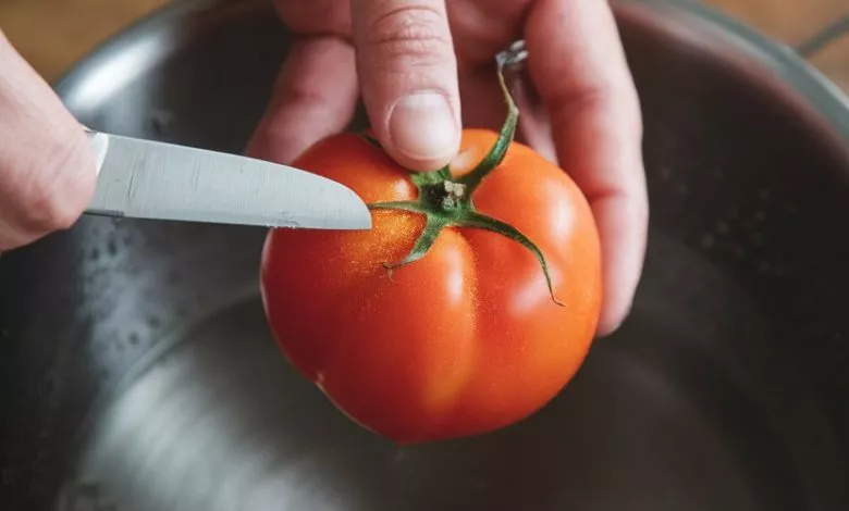 A Photo Of A Person S Hands Holding A To 8ifzvlnxsi 9zg7mnvzgfw Mj6har4qsjcogjo4bcewfa