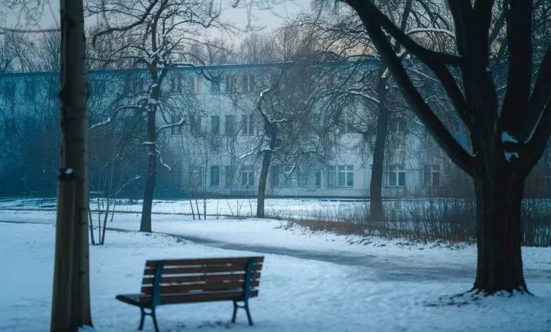 A Photo Of A Snowy Landscape With Trees Cfumiowvqqyeo7wefji2hg 0z0wyo1issctdlqbyyuirq