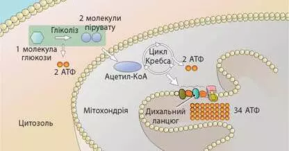 0400e4w7 F58d 1200x630 1