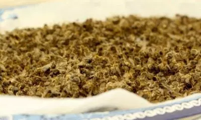 400 0 1593683776 4694