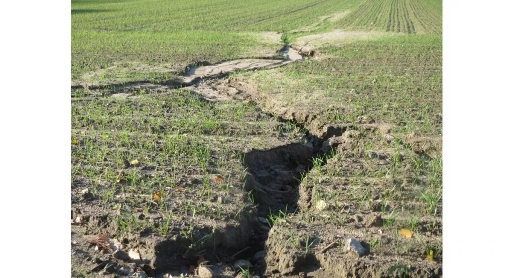 Erosion Reilingen1 1