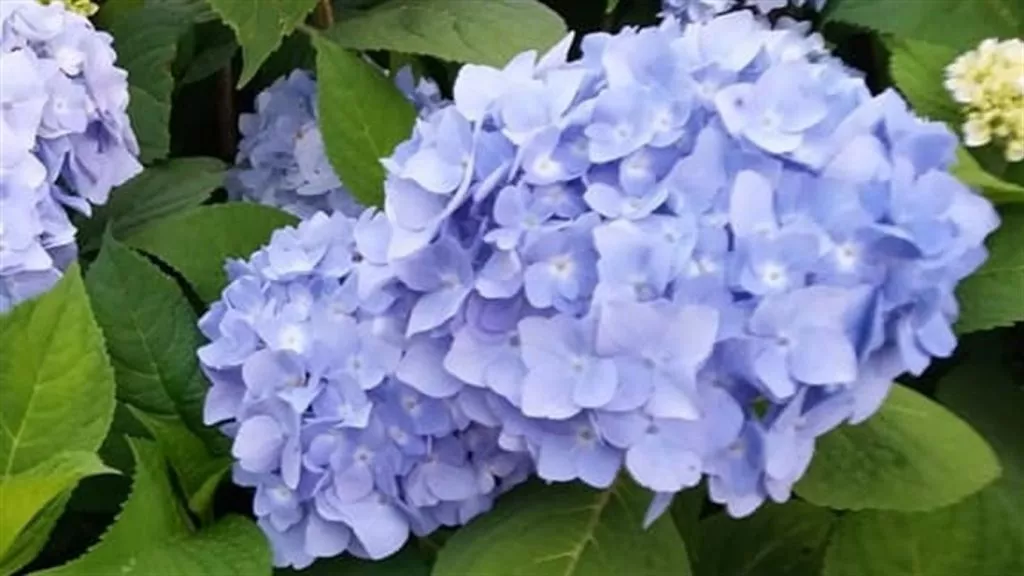 Qd9m7hvbt5p5k3jl6ufk