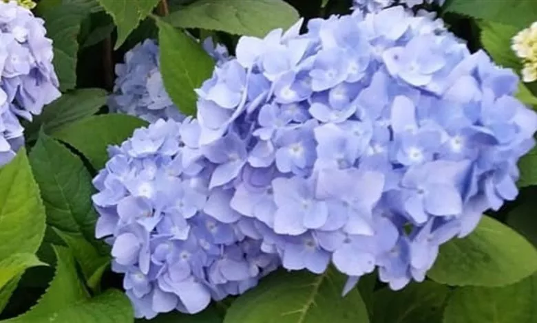 Qd9m7hvbt5p5k3jl6ufk