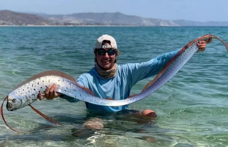 Regalecus Glesne Fish 1 750x483 1