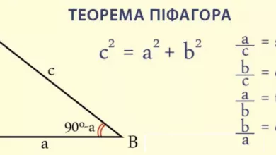 Tytul
