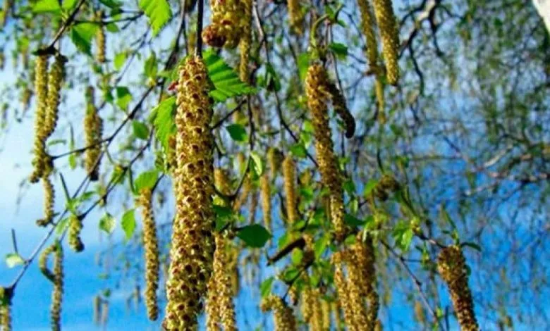 Zvguc6 4wqgybu24toshw7fhxdvhstx4pvimadk