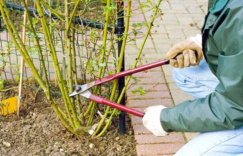 0def658da187e39a4a9adea49ddb7559