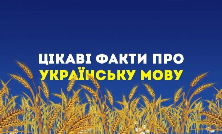 63f477071a65e920292866