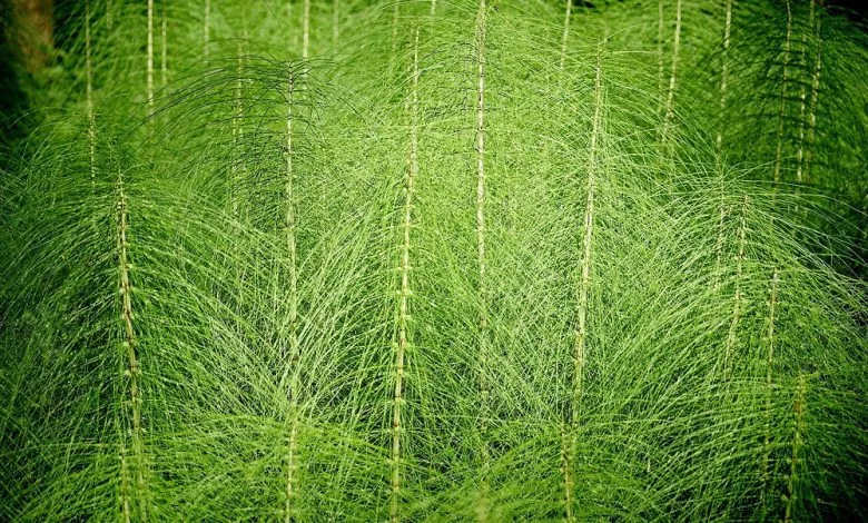 665bfb 561ef216264943ecab2968bffaf3a477mv2