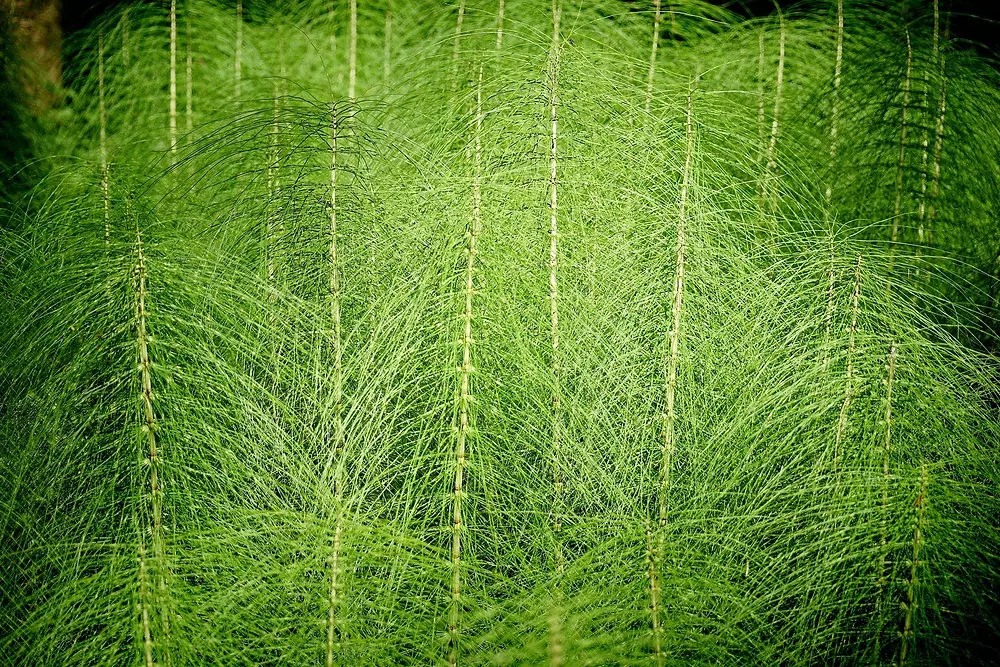 665bfb 561ef216264943ecab2968bffaf3a477mv2