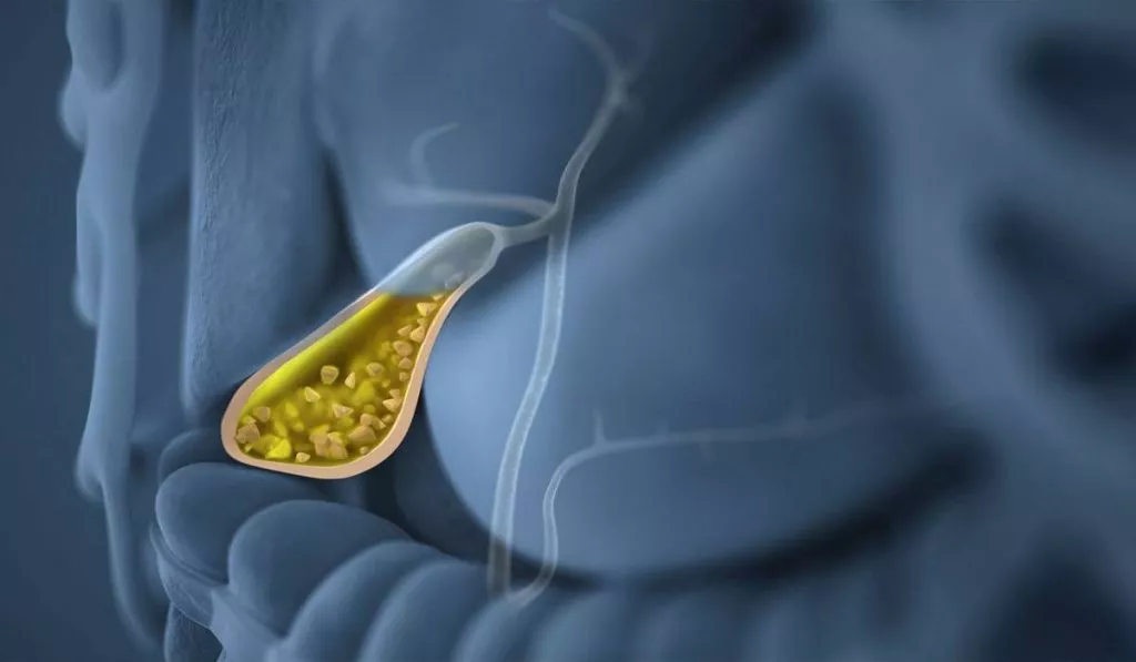 90701d02ae3da0e5a21abbd900c25748 Xl