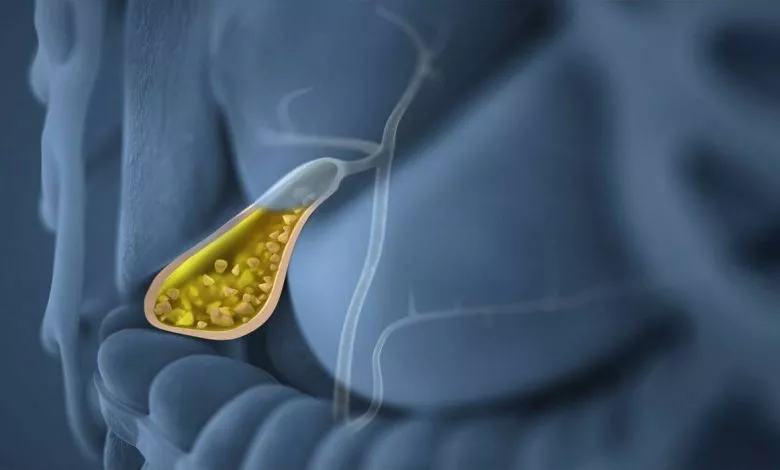 90701d02ae3da0e5a21abbd900c25748 Xl