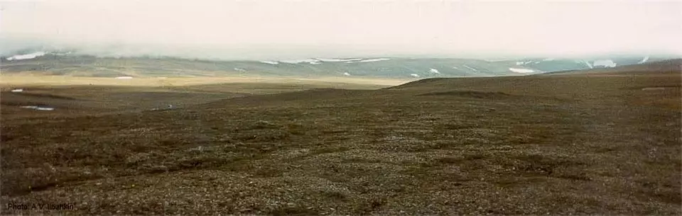 960px Wrangel Island Tundra