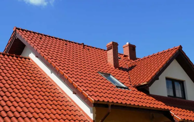 Keramycheskaya Cherepytsa 746x500 1