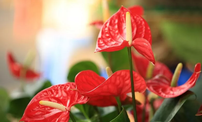 Shutterstock 174349778