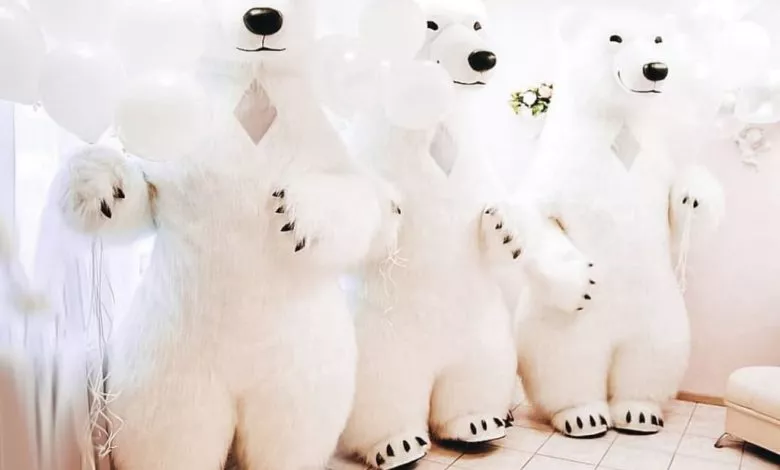 3fc2170310f3110602b782307b03bb4b