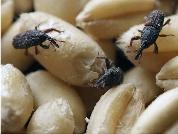 32441134 301d 49d8 9011 875cb69ba50a