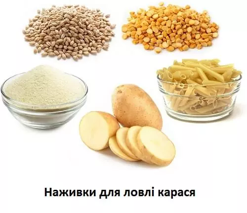 6ac86dcad79076a691607c3be4ea36ea