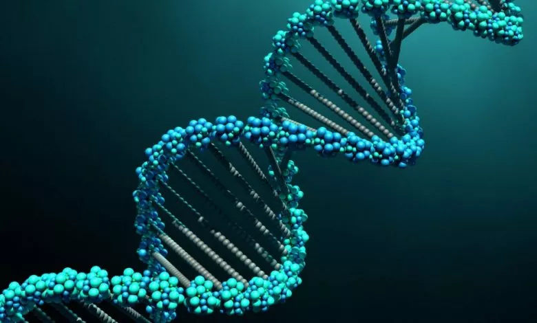 Dna Image E1559728407388