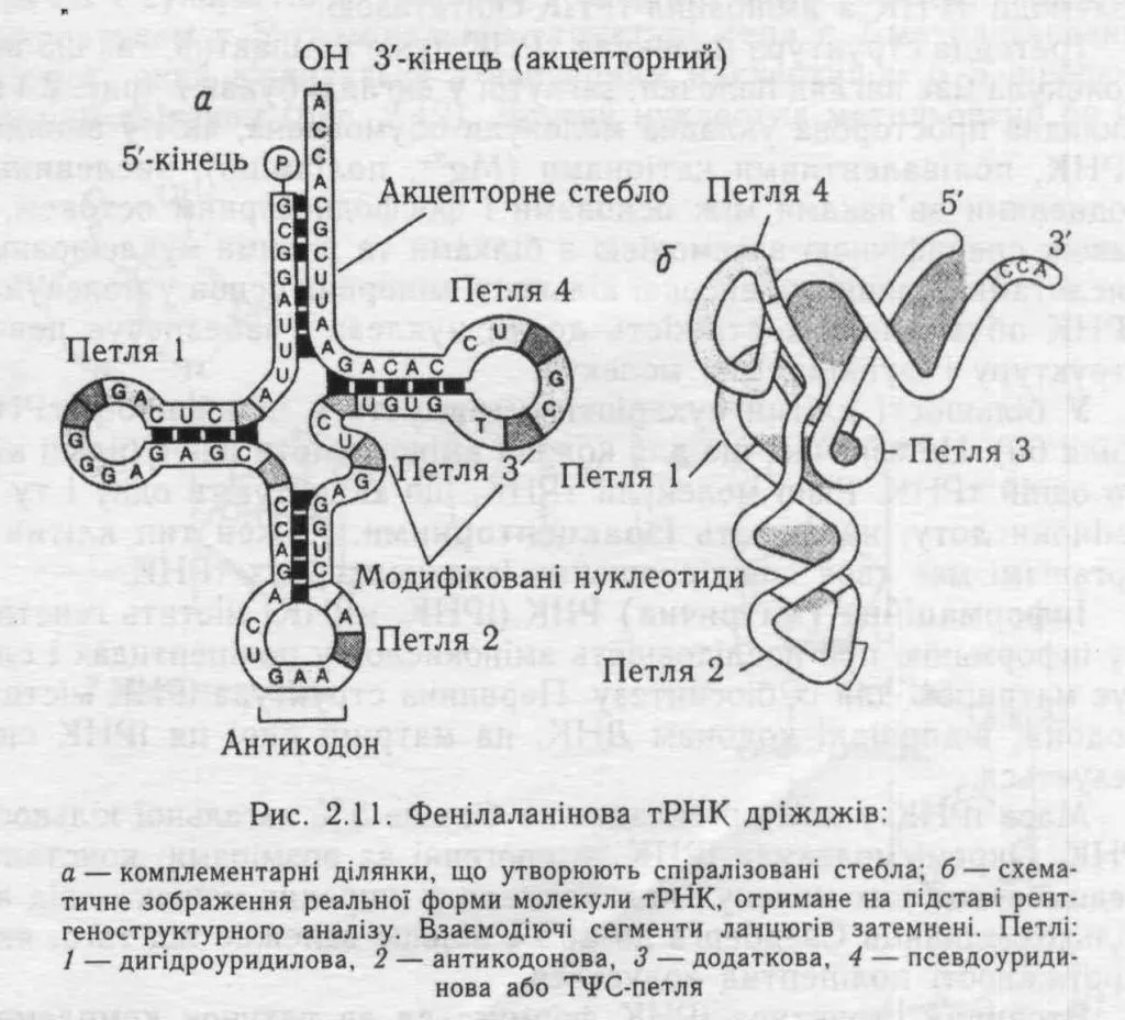 Htmlconvd 6i6qul Html 7af952920d57f109