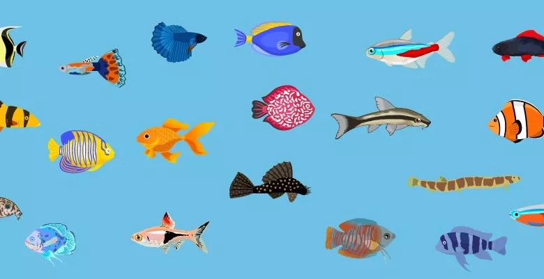 Zobrazhennya 2024 09 09 151839981