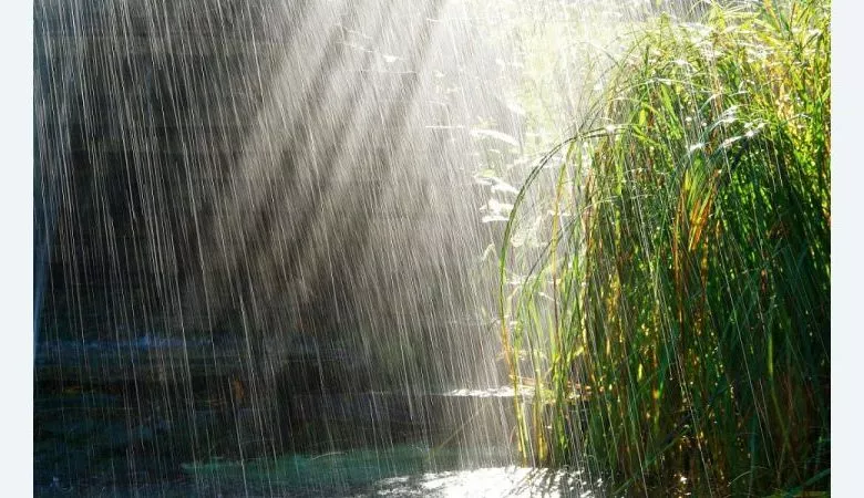 14412065501 5fe1ff3f