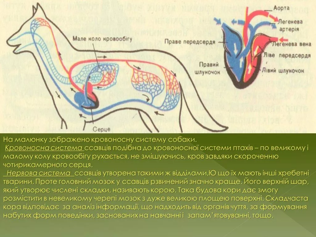 5381cf8ad6fe0bf691a76a1ef5f8139e