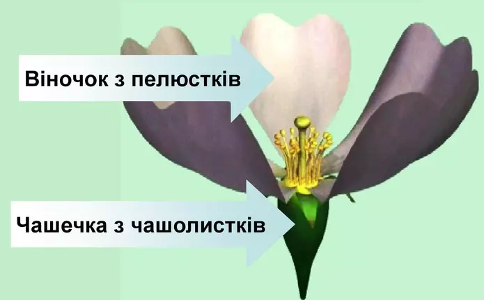 Angkand1zveyuvb2kp3yo3m6urpfr9pjznygqnoz