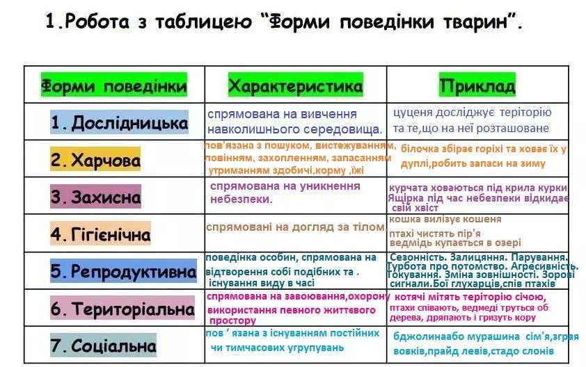 C363307d4ddb76f2367fca9b13353517