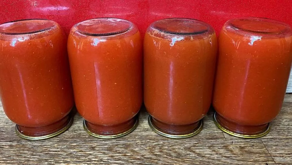 Domashniy Tomatnyy Sik Na Zymu