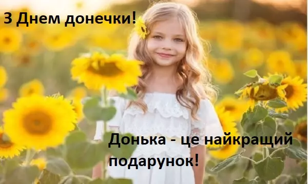 Doshka E1556127714984 Rfmiht9 1