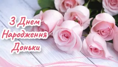 E88829025d60026cee30a2d04cbb84798d1cb44f