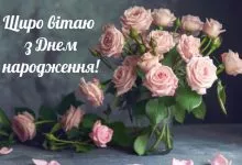 Img19 1 1024x652 1