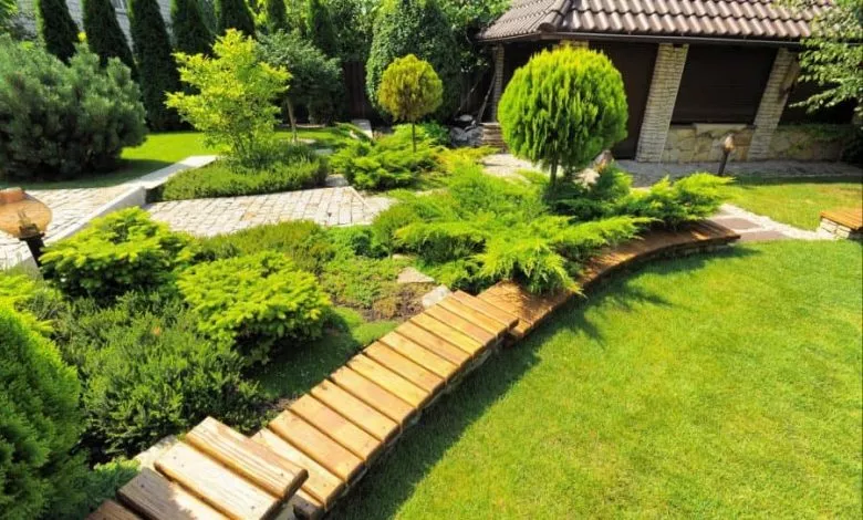 Roslyny Dlya Landshaftnogo Dyzajnu