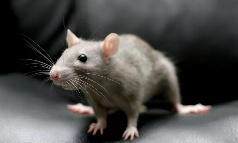 3151662e96af7724d6ff566accdd5d171