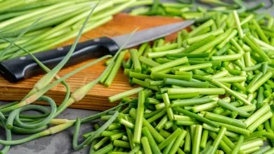 7lfbiv C2x1x50px50p Up 6d18390764eeda0f4b377fc800275c2b