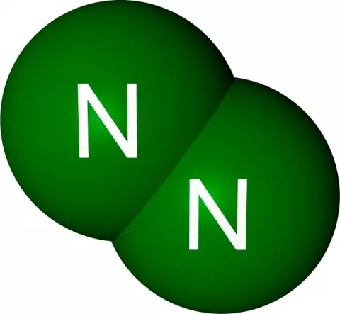 Nitrogen Logo